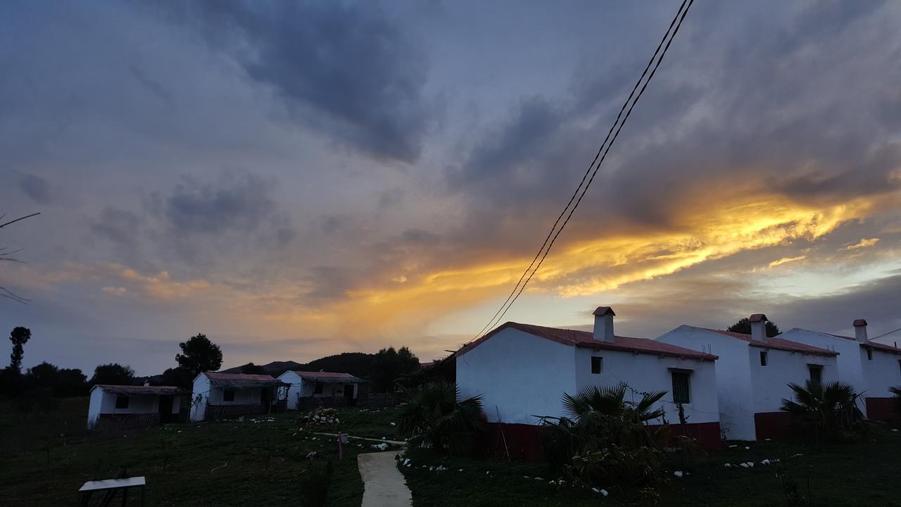 Ferma Jebala Ecolodge Kitane Rum bild